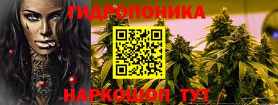 мдпв Шелехов
