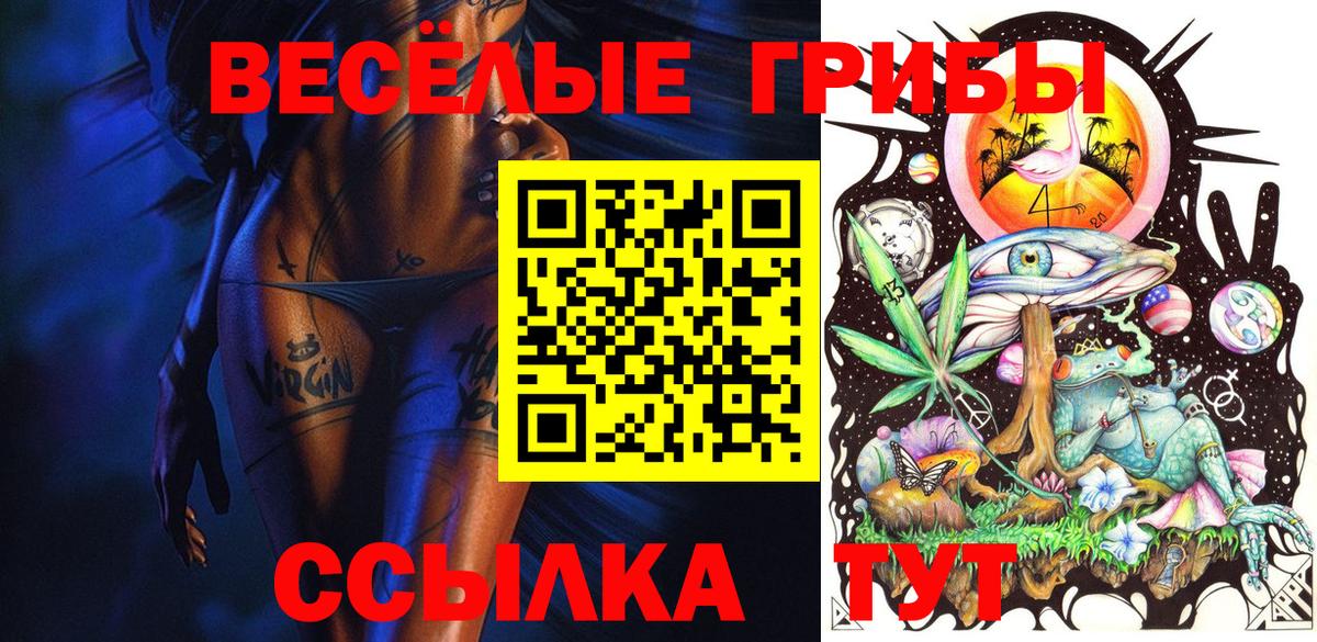 Галлюциногенные грибы GOLDEN TEACHER  Галлюциногенные грибы Magic Shrooms  Сорочинск  Вход с VPN 