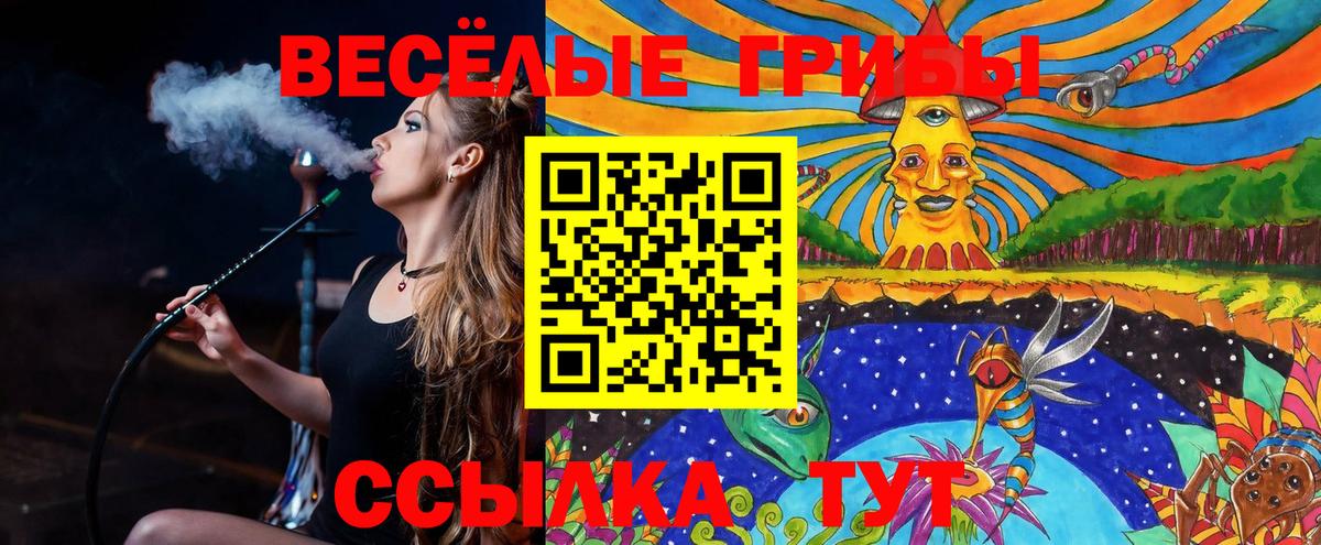 Галлюциногенные грибы Cubensis Сорочинск